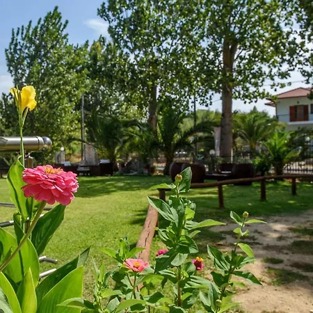 House Rousko Sykia Chalkidikis