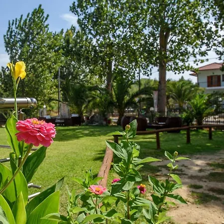 House Rousko Συκιά
