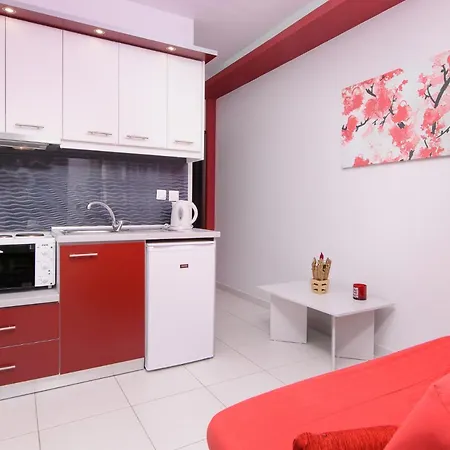 House Rousko Apartment *